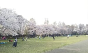 市民の森広場1