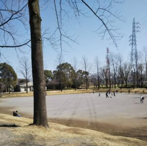 三橋総合公園広場2