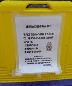 北浦和公園岩場の水遊びお約束