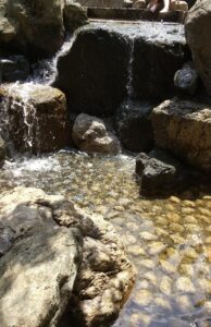 北浦和公園岩場の水遊び1