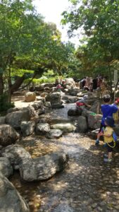 北浦和公園岩場の水遊び2