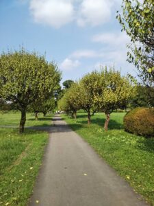 さきたま古墳10