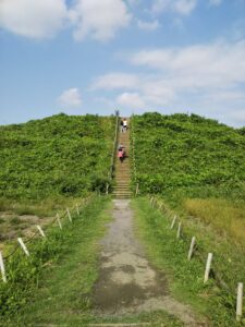 さきたま古墳11