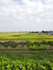 さきたま古墳12