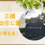 【三橋総合公園】アスレチック遊具とスポーツ施設充実!広場でキャッチボール