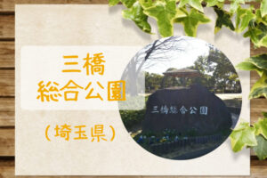 【三橋総合公園】アスレチック遊具とスポーツ施設充実!広場でキャッチボール