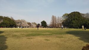 市民の森多目的広場4