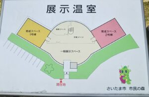市民の森展示温室1
