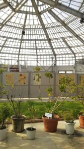 市民の森展示温室2