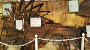 市民の森展示温室5