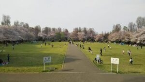 市民の森広場2