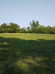 所沢航空公園17