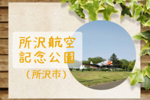 所沢航空記念公園｜遊具や芝生広場、熱気球体験やドッグランもあるおすすめの公園
