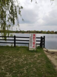 荒川彩湖公園湖畔3