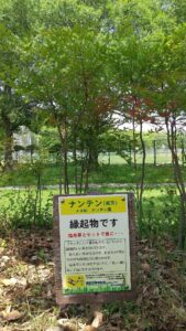 健康福祉村植栽1