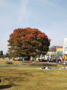 むさしの村森のステージ前芝生広場