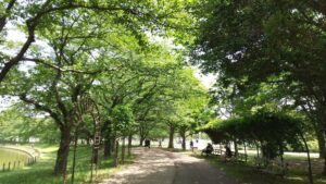 健康福祉村ジョギング・ウォーキングコース2