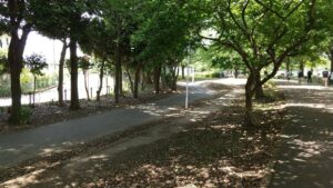 健康福祉村ジョギング・サイクリング