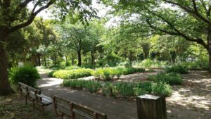 健康福祉村ハーブガーデン2