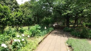 健康福祉村ハーブガーデン3