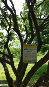 健康福祉村木の説明2