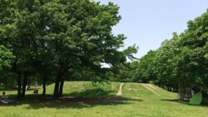 健康福祉村自由広場3