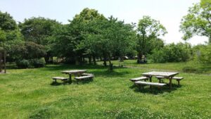 健康福祉村自由広場6