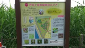 戸田ヶ原自然再生エリア1