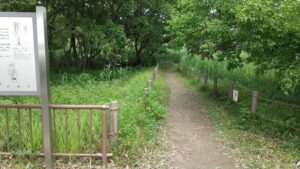 戸田ヶ原自然再生エリア2