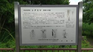 戸田ヶ原自然再生エリア3