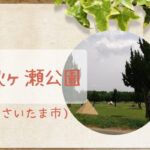 秋ヶ瀬公園で虫取りや探検をしよう|バーベキューエリア・遊具あり|荒川彩湖公園となり