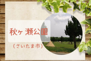 秋ヶ瀬公園で虫取りや探検をしよう｜バーベキューエリア・遊具あり｜荒川彩湖公園となり