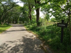 秋ヶ瀬公園三ツ池グラウンド3