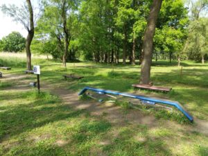 秋ヶ瀬公園健康遊具3