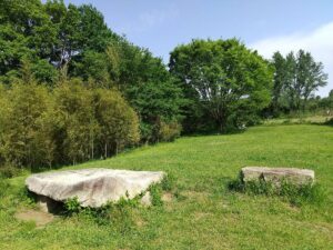 秋ヶ瀬公園希望の国広場2