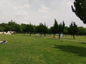 秋ヶ瀬公園西洋庭2