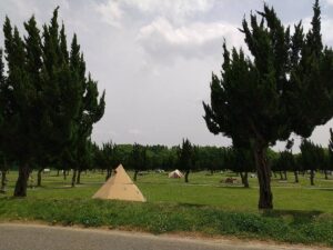 秋ヶ瀬公園西洋庭園1