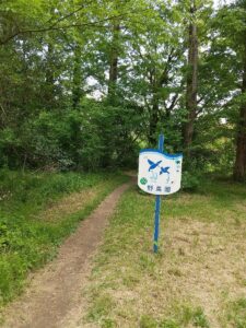 秋ヶ瀬公園野鳥の森1