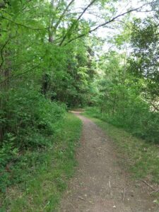 秋ヶ瀬公園野鳥園2