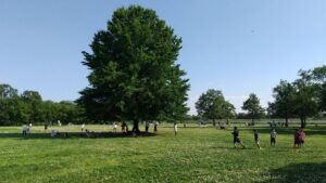 荒川彩湖公園広場2