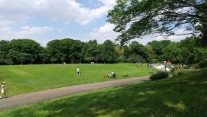 道満グリーンパーク1