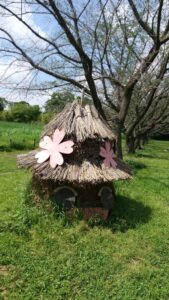 道満グリーンパークピクニック広場2