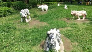 道満グリーンパークピクニック広場4