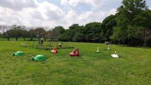 道満グリーンパークピクニック広場5