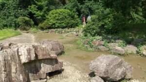 道満グリーンパークピクニック広場8