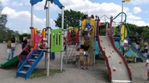 道満グリーンパーク複合遊具2