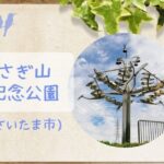 さぎ山記念公園|芝生広場やアスレチック遊具・キャンプ場があるさいたま市の穴場の公園