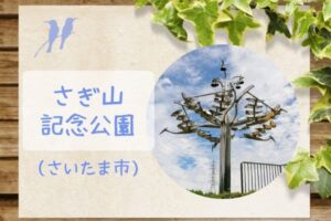 さぎ山記念公園｜芝生広場やアスレチック遊具・キャンプ場があるさいたま市の穴場の公園