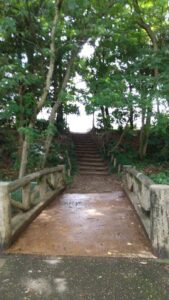 さぎ山記念公園3