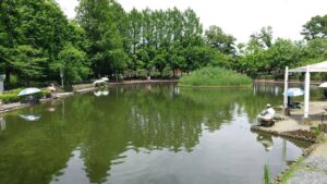 さぎ山記念公園4